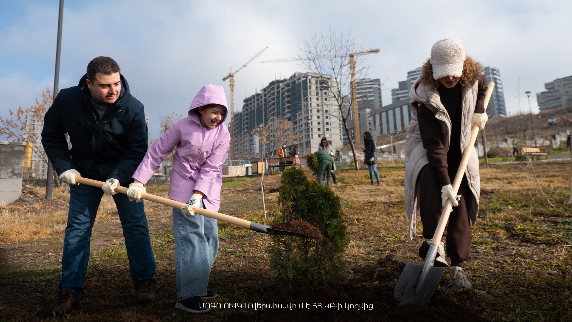 Посадка деревьев от МОГО